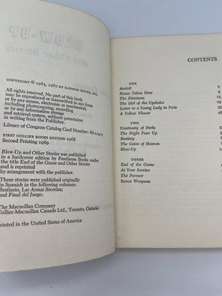 Blow-Up and Other Stories by Julio Cortazar