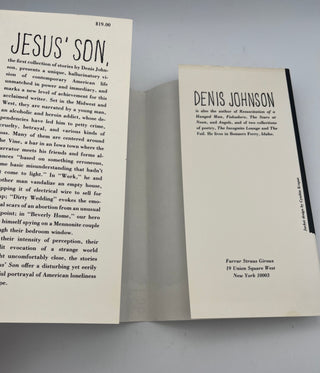 Jesus' Son by Denis Johnson