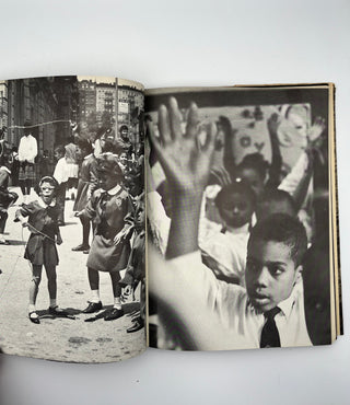 At the Edge of Harlem