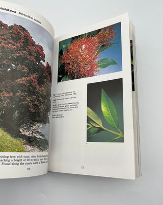 Field Guide to the Native Trees of New Zealand